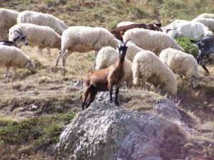 Xtrallusion photo library of independent, self-guided walking and sightseeing holidays in Italy. Pictures, images, photos and photographs taken along the way of this 1-day walking itinerary, to give you a visual impression of the day's walk.